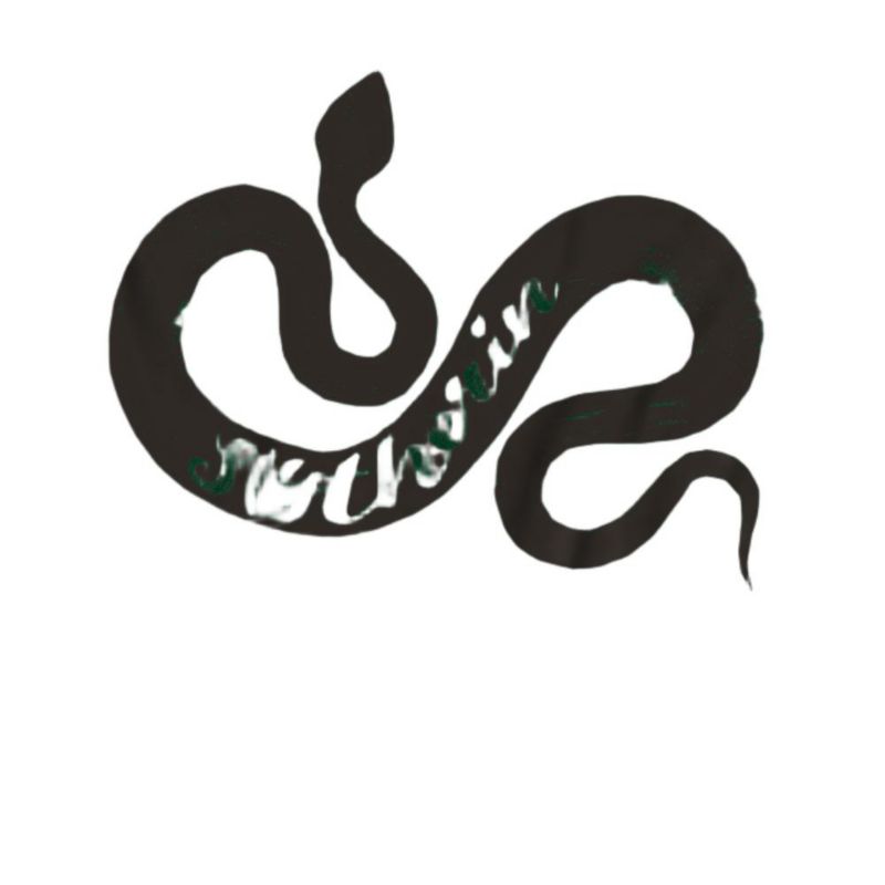 Men's Slytherin Wordcraft T Shirt