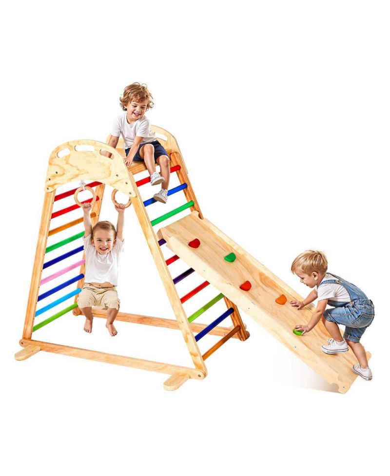 Ages 2-6 4-in-1 Wooden Indoor Jungle Gym