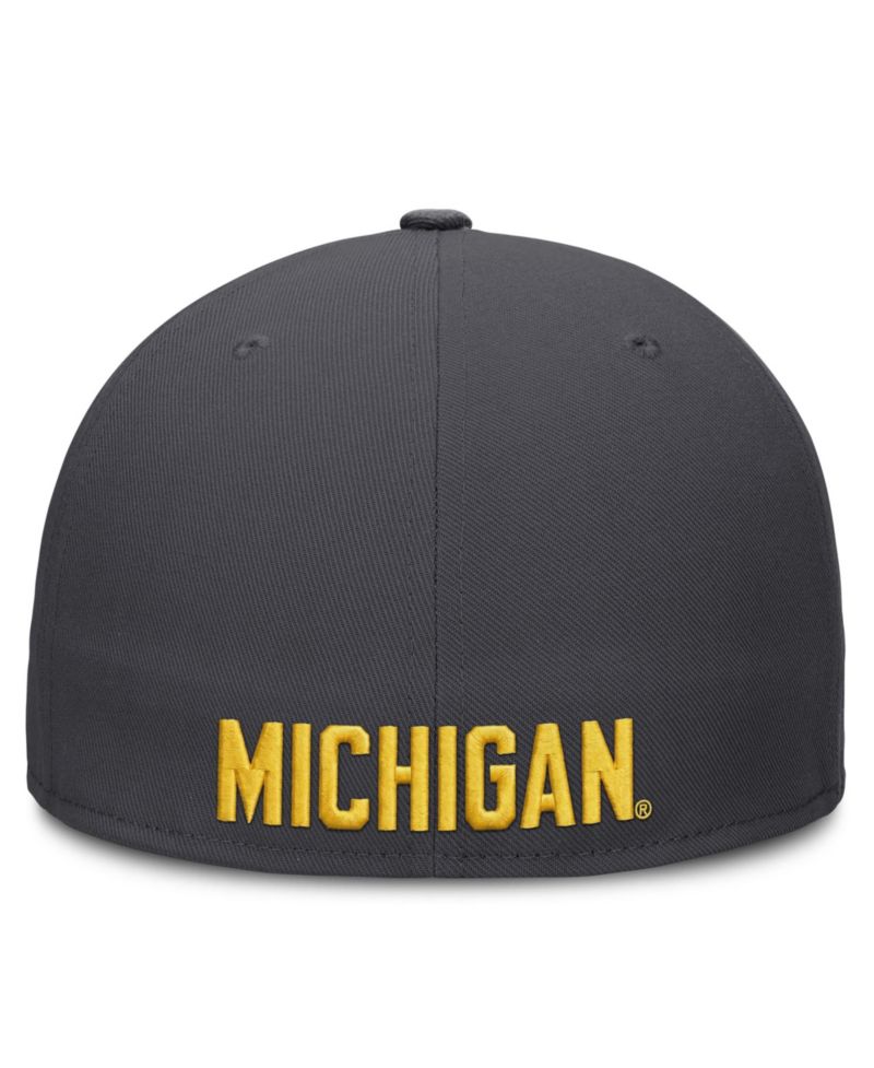 Men's Nike Anthracite Michigan Wolverines Pro Dri-FIT Fitted Hat