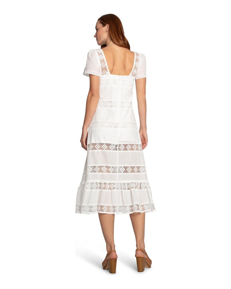 Women's The Wild Rose Hour Lace Dress