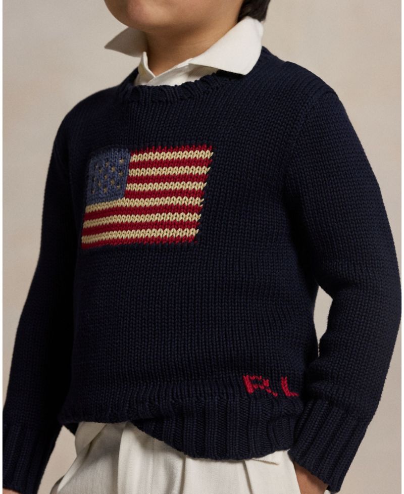 Toddler and Little Boys The Iconic Flag Sweater