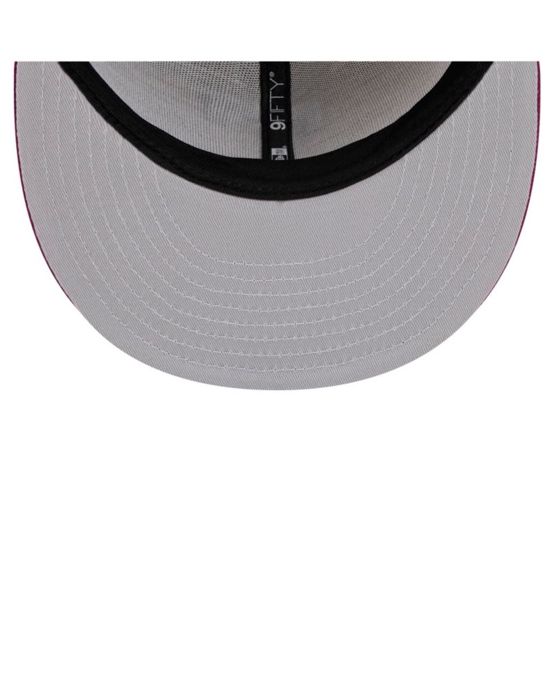 Men's Brown/Purple Tampa Bay Rays Color Pack Two-Tone 9FIFTY Snapback Hat