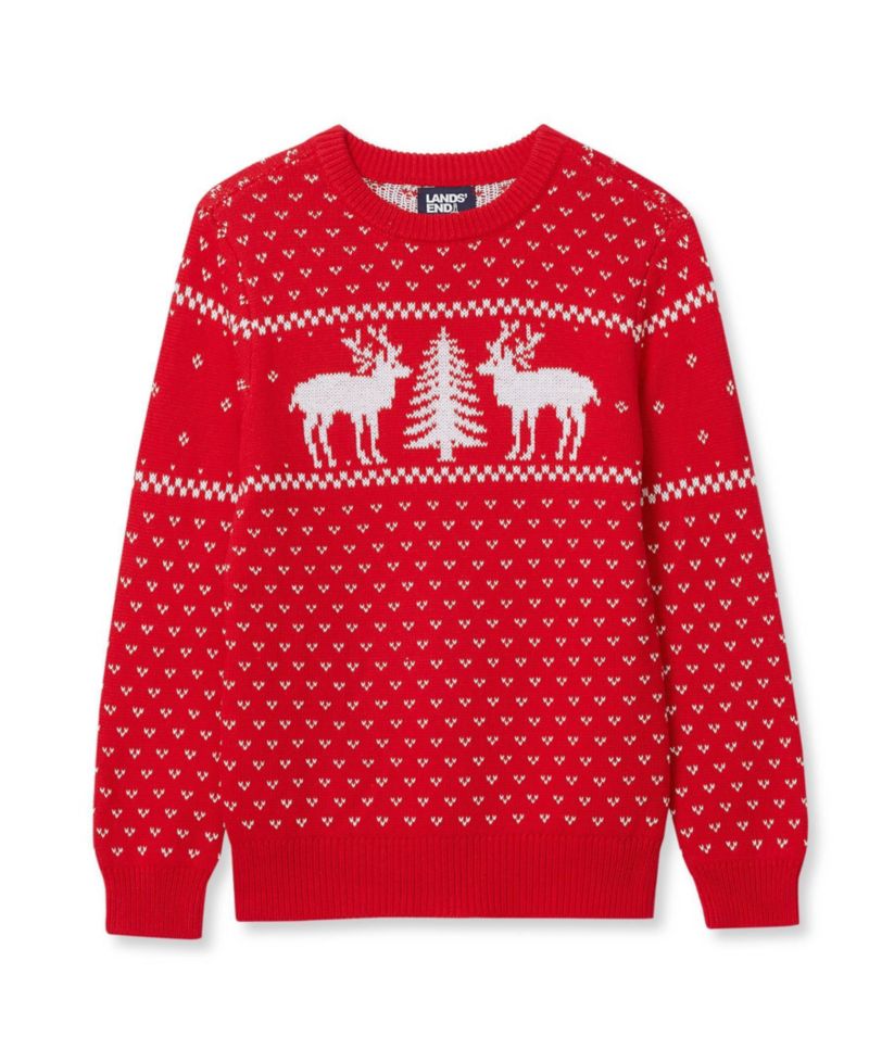 Boys' 4-20 Intarsia Holiday Crewneck Sweater