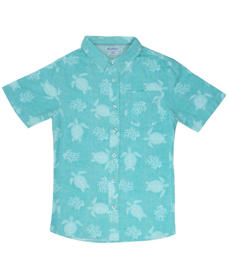 Little Boys Classic Woven Button Down Shirt and Pant Outfit Set