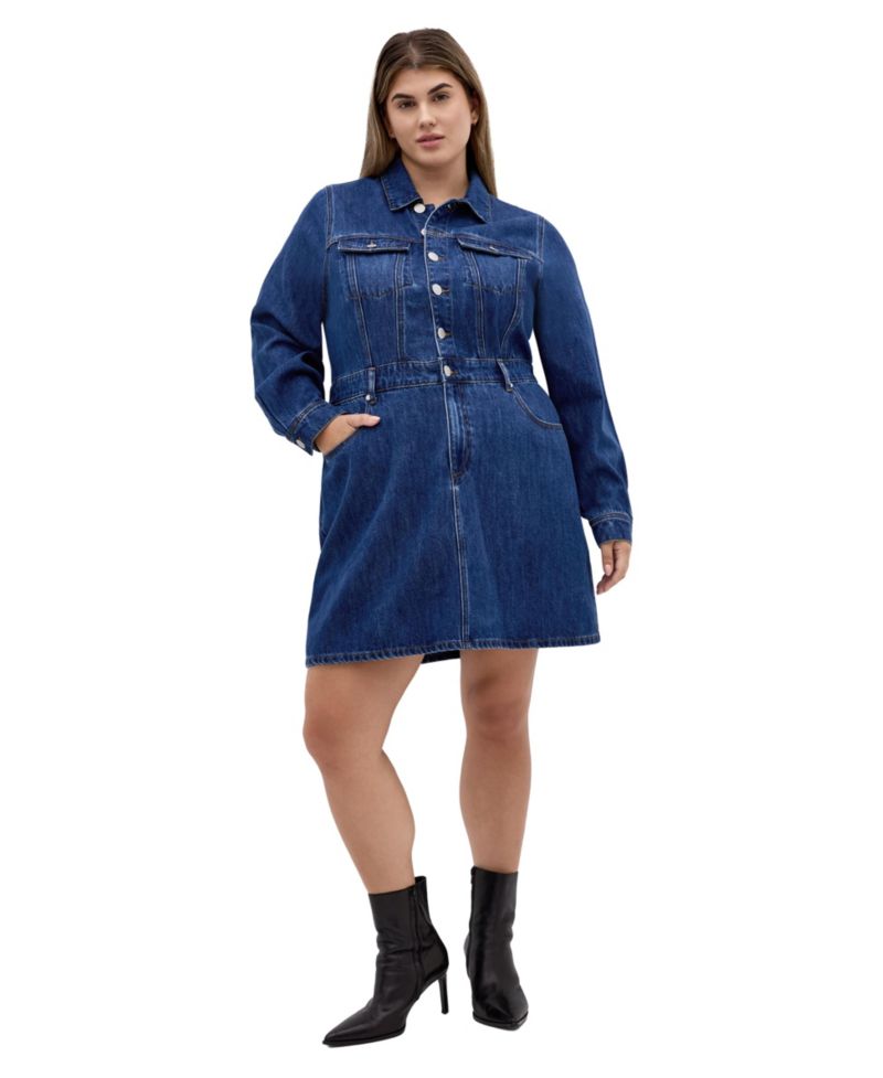 Plus Size Liora Denim Mini Dress