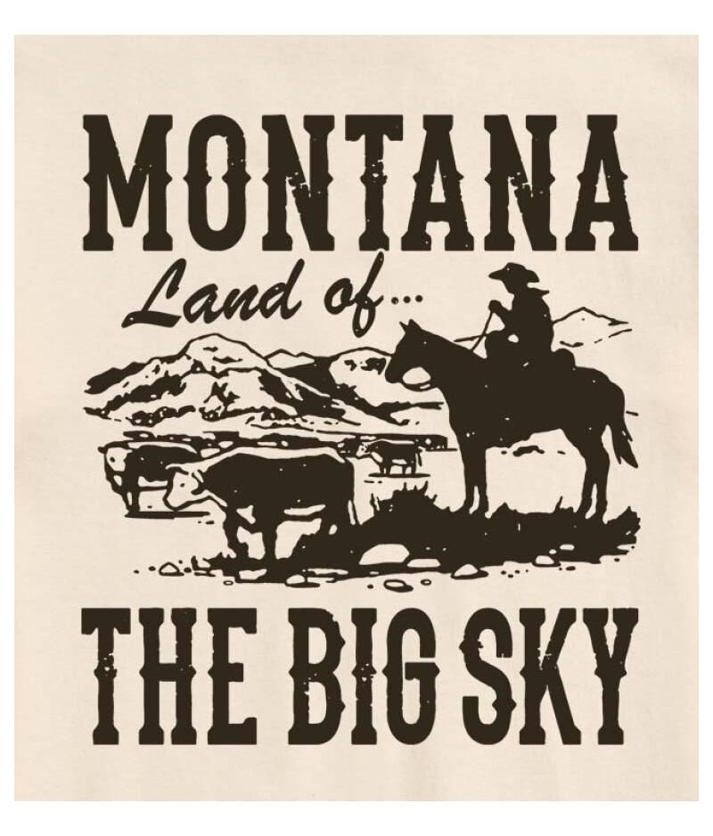 Hybrid Apparel Montana Land of Big Sky Men's Short Sleeve Tee