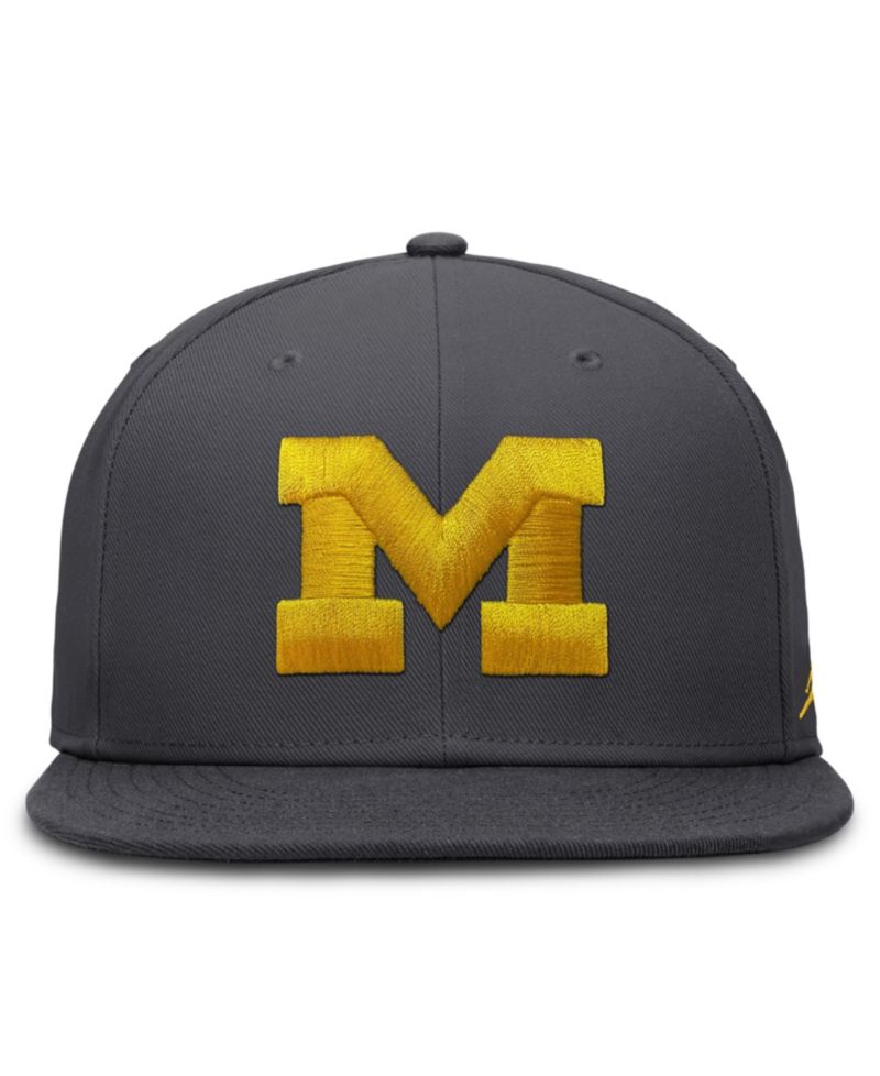 Men's Nike Anthracite Michigan Wolverines Pro Dri-FIT Fitted Hat
