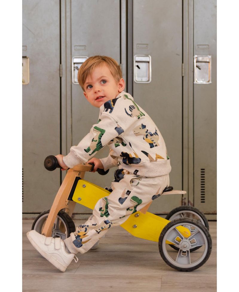 Baby Boy 12M-24M Fleece Sweatpants Dinosaur Print