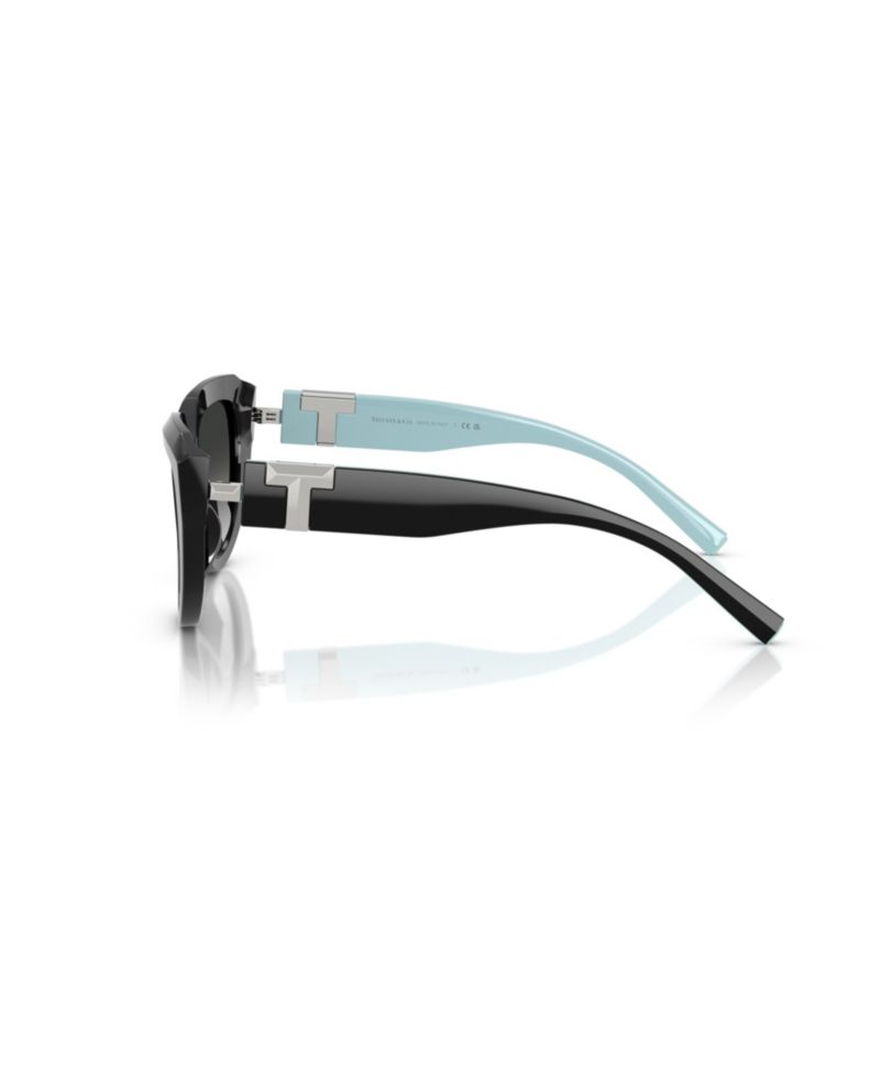 Women's Sunglasses, TF4238U