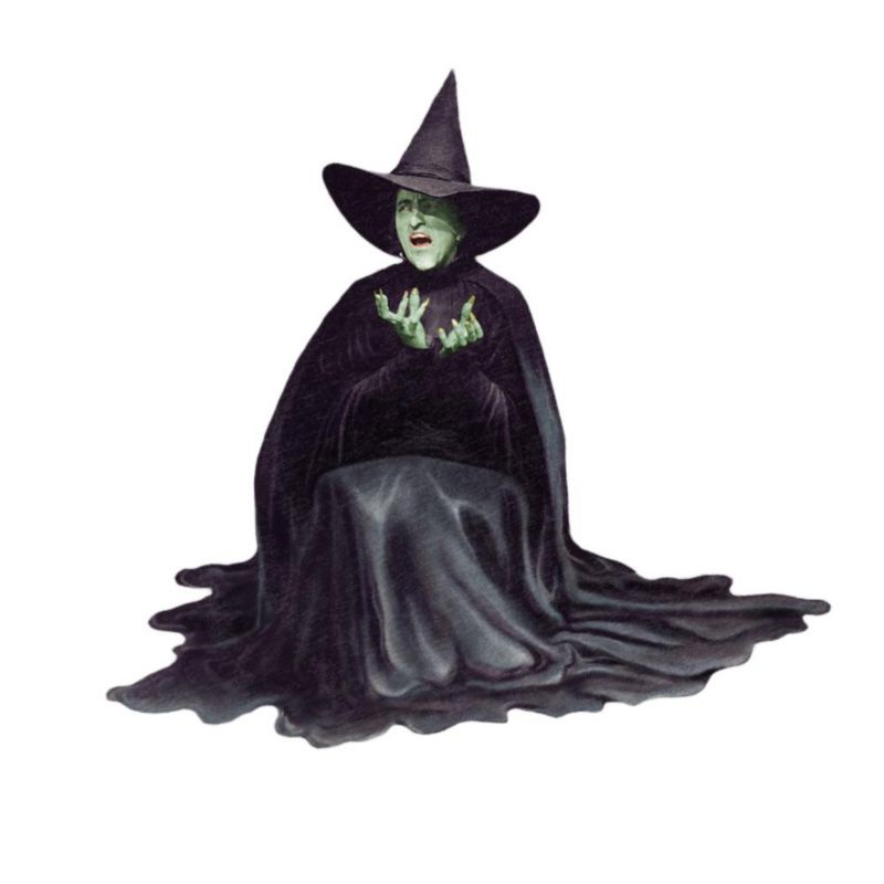 Big & Tall The Wicked Witch Melting T-Shirt