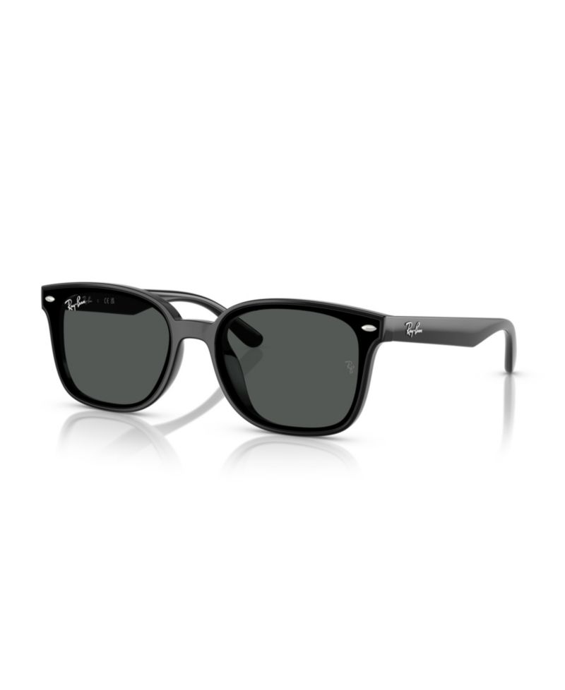 Rectangle Low-Bridge Sunglasses RB4461D