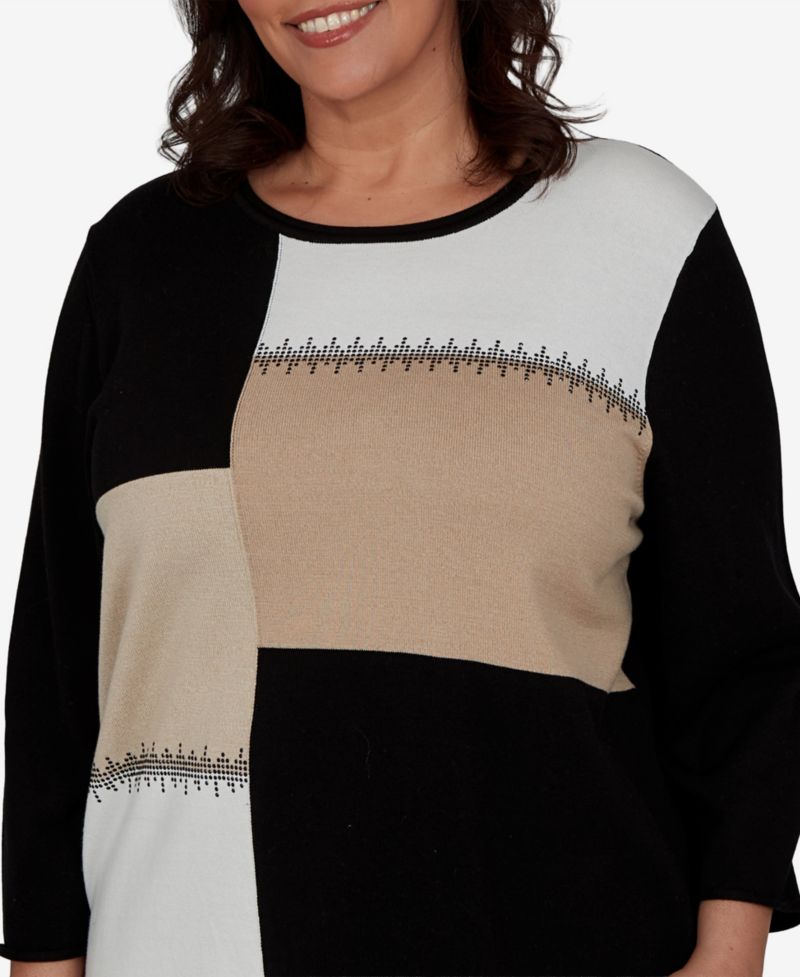 Plus Size Travel Advisory Colorblock Embellished Sweater