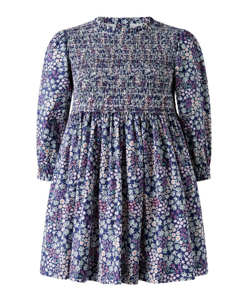 Toddler Girls' 2T-5T Wild Floral Long-Sleeve Fit & Flare Dress