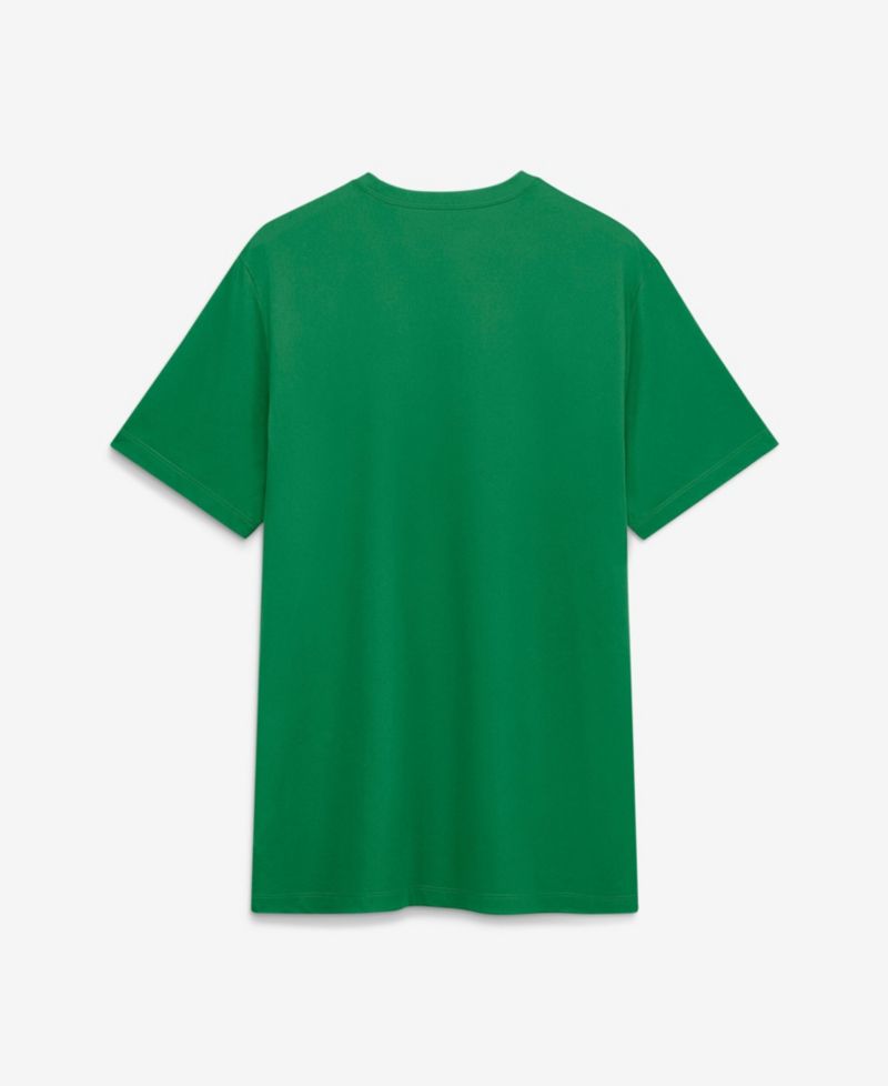 Men's Green Oregon Ducks Sideline Legend Dri-FIT T-Shirt