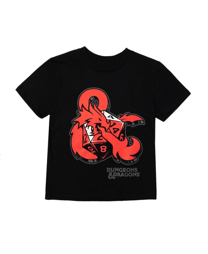 Dungeons and Dragons Youth Boys 4- Pack Tees-Large