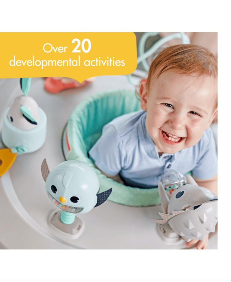 Baby Boys or Baby Girls 4 in 1 Here I Grow Mobile Activity Center