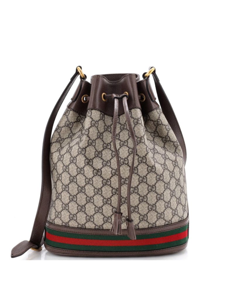 Medium Ophidia Bucket Bag GG Coated Canvas