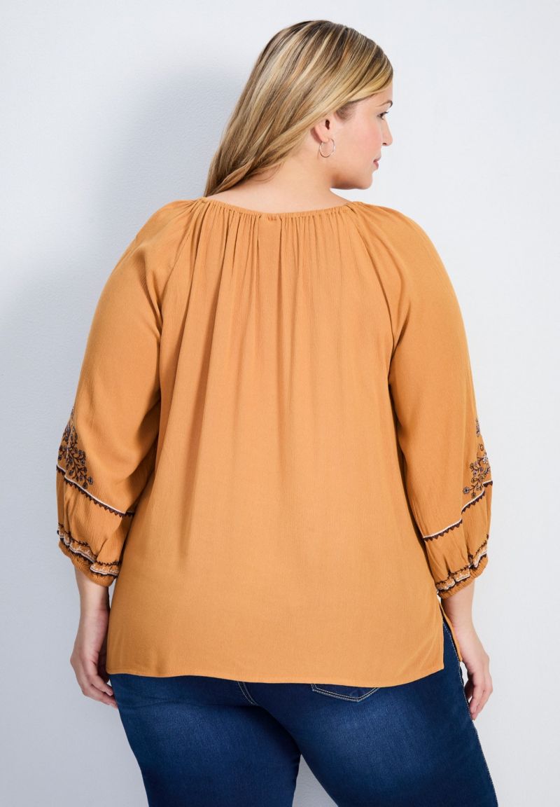 Women's Plus Size Anna Embroidery Detail Top