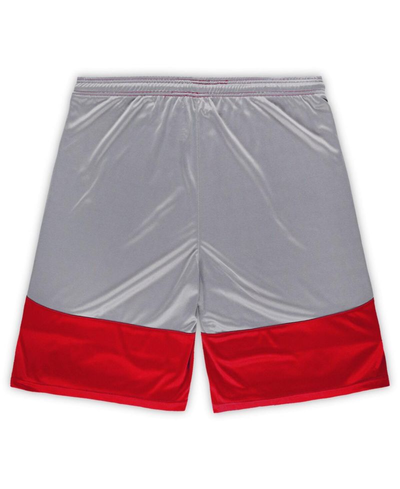 Men's Cardinal Arizona Cardinals Big & Tall Team Logo Shorts