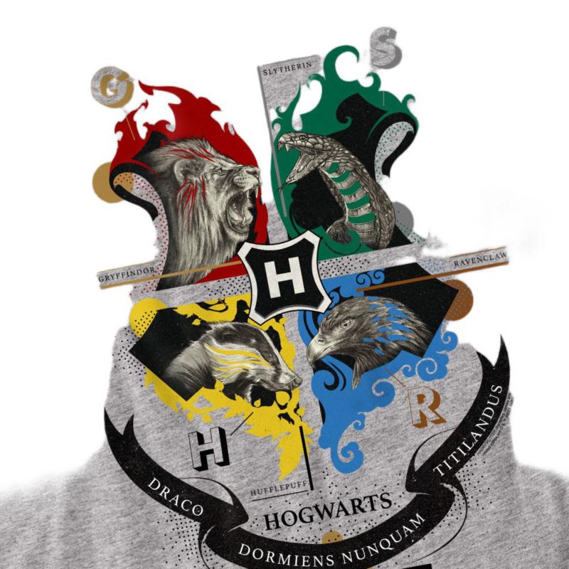 Men's Hogwarts Magicial Mischief Level Up Crest T Shirt