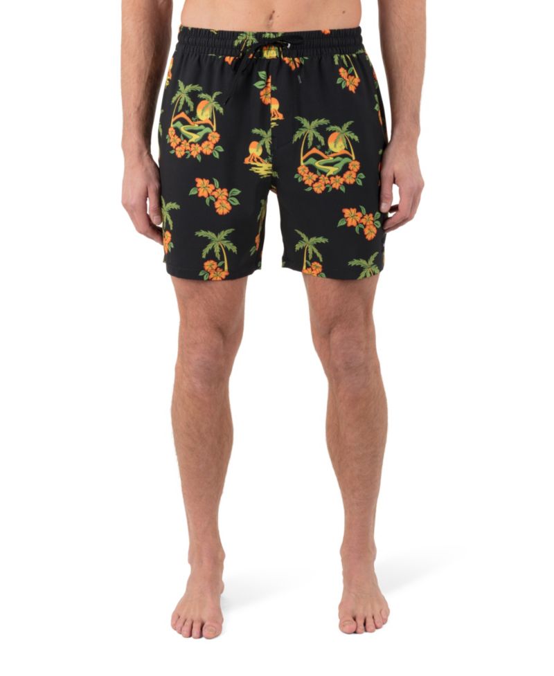 Men's Cannonball Volley 17 Boardshorts