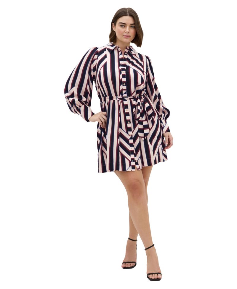Plus Size Timeless Stripe Long-Sleeve Mini Shirt Dress