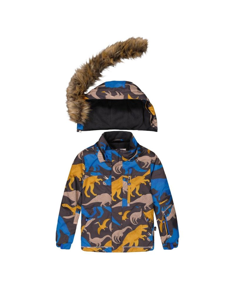 Little and Big Boy Two Piece Play Snowsuit Dinosaur Print with Pants