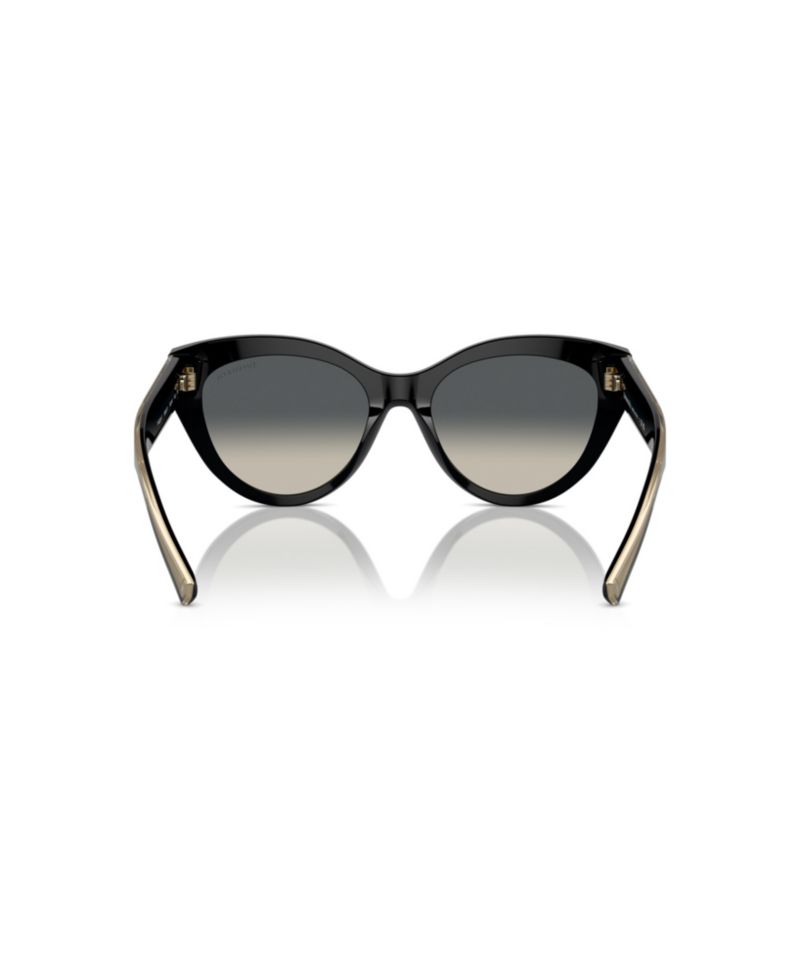 Women's Sunglasses, TF4220F