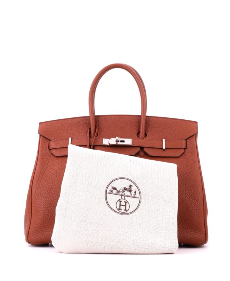 Birkin 35 Handbag Brown Fjord with Palladium Hardware