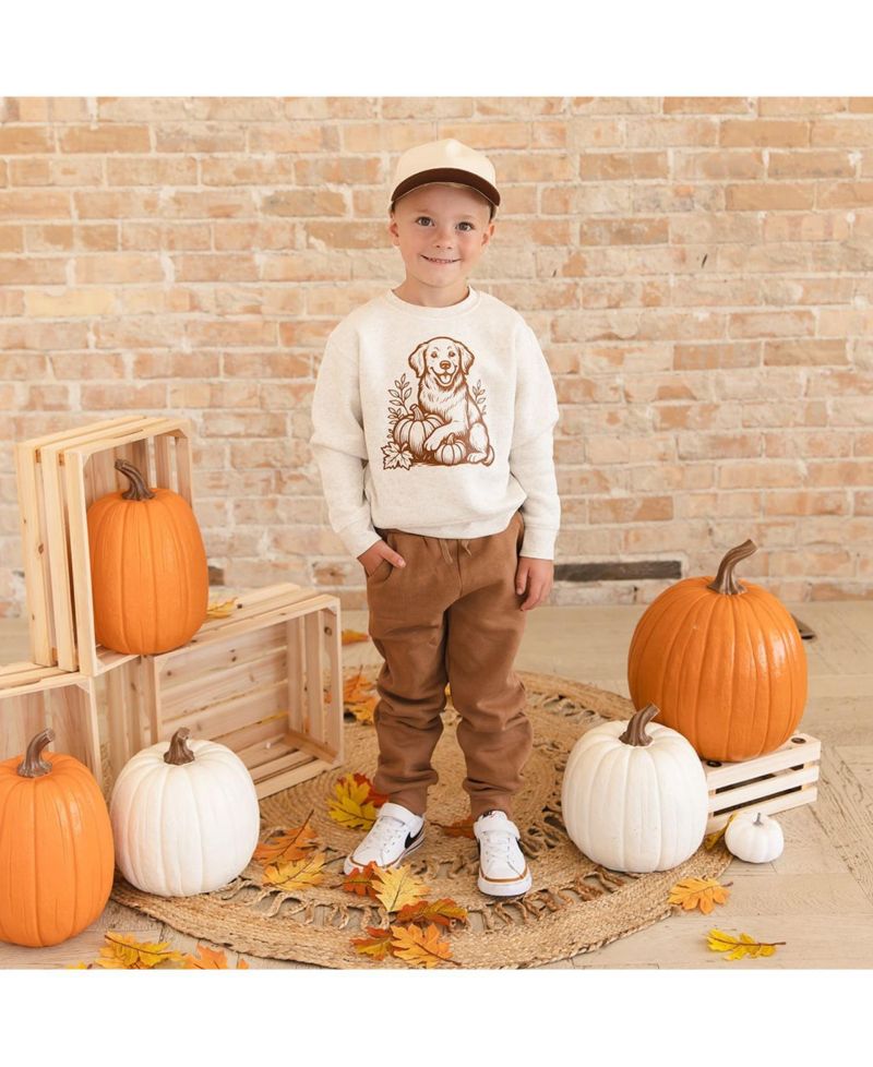 Boys' 4-20 Golden Retriever Harvest Crewneck Long-Sleeve Sweatshirt