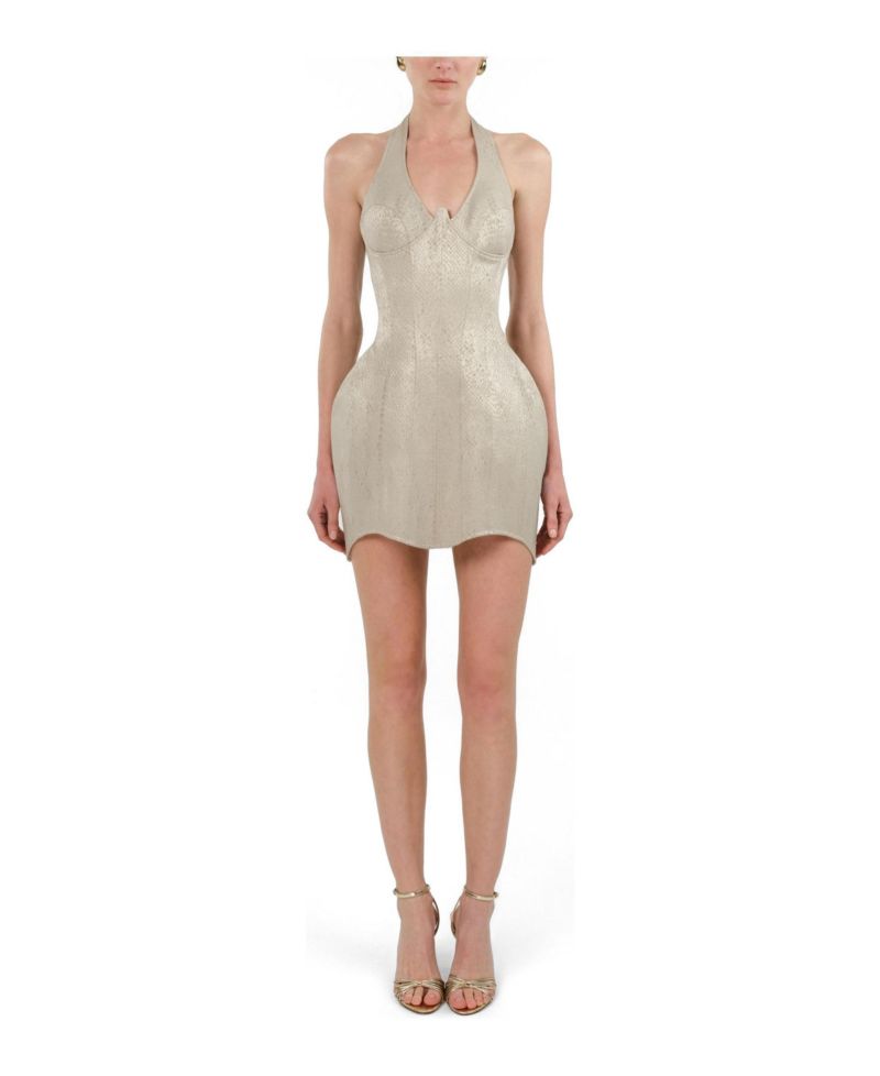 Women's Snake-Print Boned Mini Corset Dress