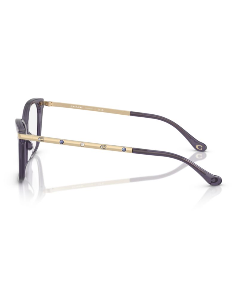Woman Square Plastic HC6261BU Eyeglasses