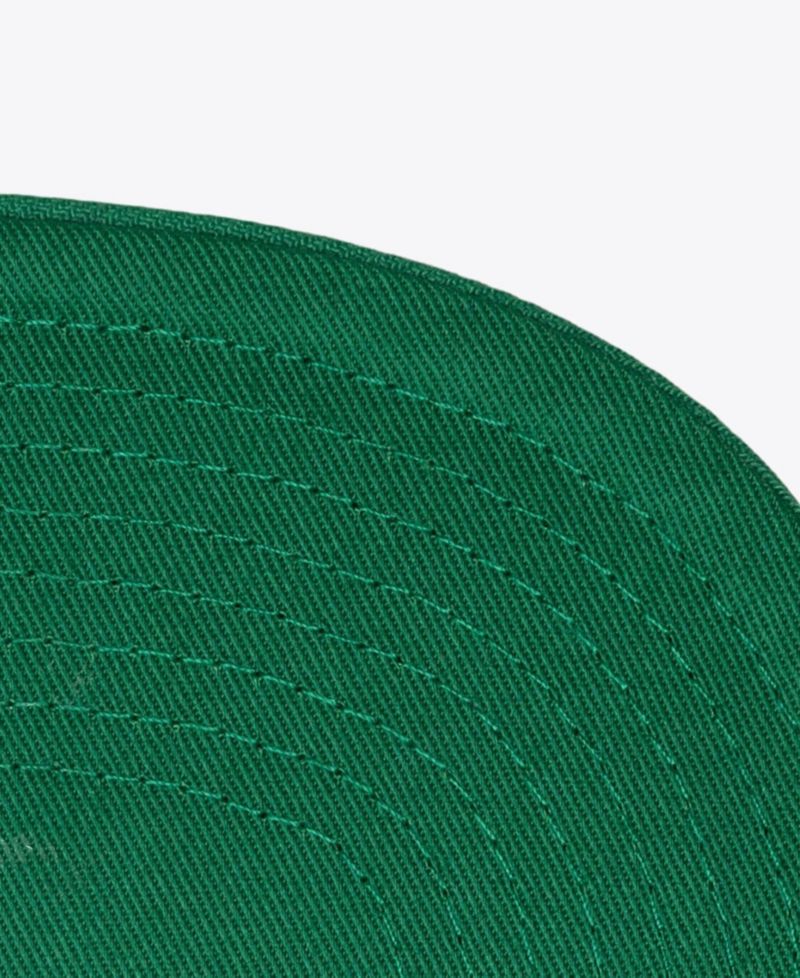 Men's Kelly Green Boston Celtics Legendary Home Snapback Hat