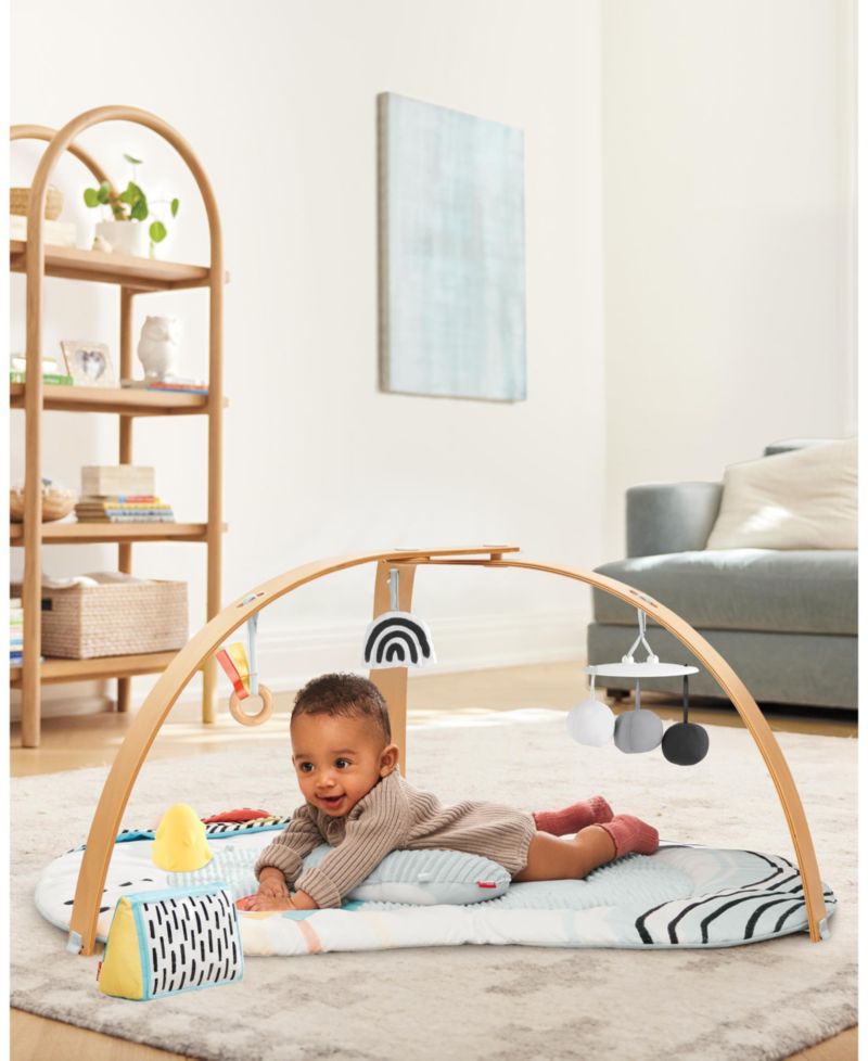 Discoverosity Play Gym