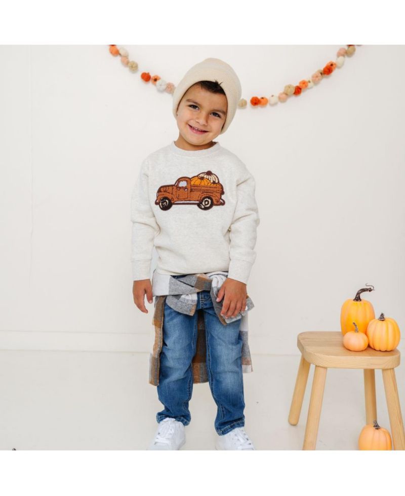 Little and Big Boys Fall Truck Patch Sweatshirt