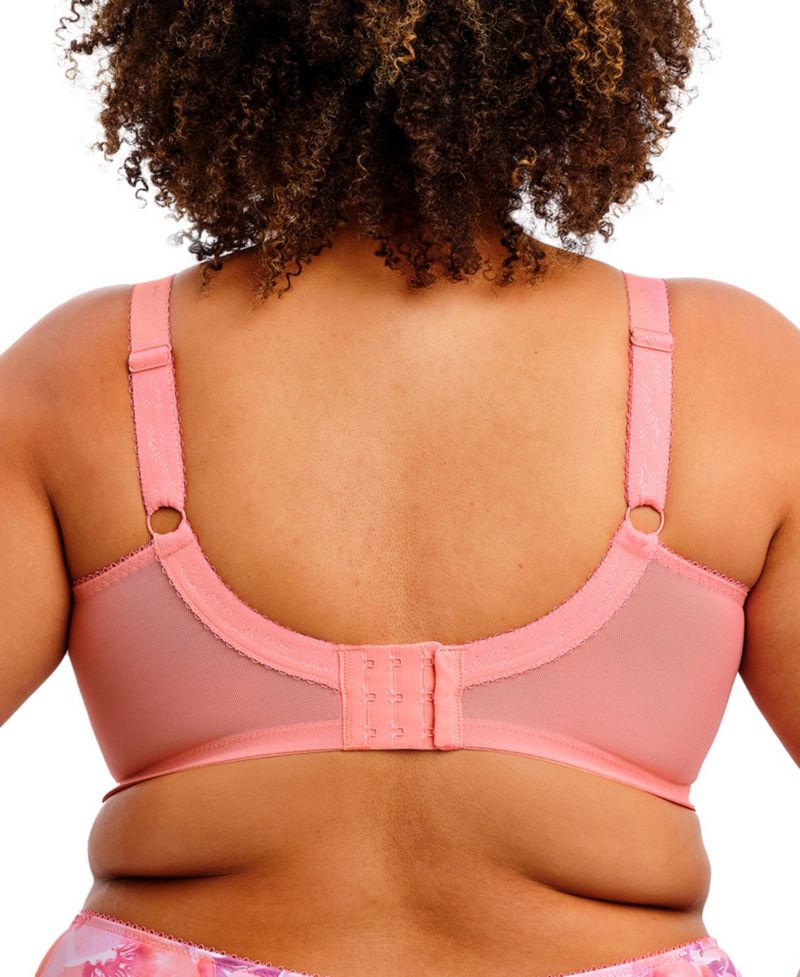 Plus Size Kayla Underwire Bra